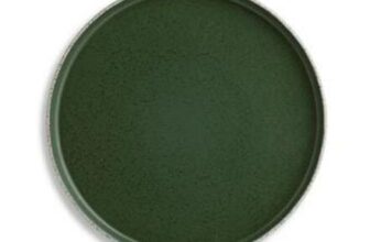 Habitat Matte Raw Edge Dinner Plate – Green