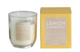 Habitat Scented Boxed Candle – Lemon & Mimosa 120g