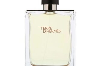 Herms Terre dHerms Eau De Toilette Spray 200ml