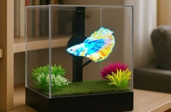 Holographic Fish Tank