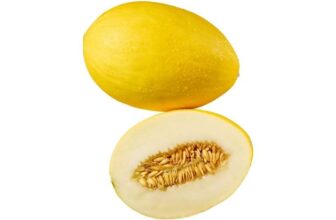 Honeydew Melon – Lidl Plus Price