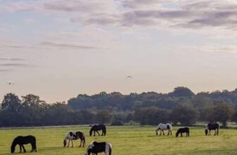 Hopefield Animal Sanctuary Entry Includes School Holidays 1 adult 1 child with code