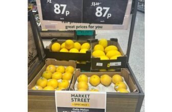 INSTORE ONLY DEAL Morrisons Whole Galia Melon / (Honeydew is Instore Online)