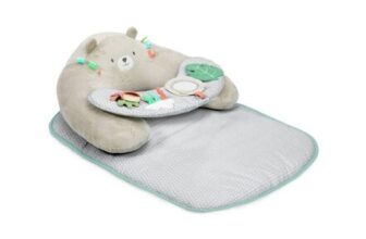 Ingenuity Cosy Prop 4in1 Activity Mat