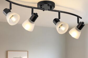 KEESFU 4 Light Track Lighting Fixtures Ceiling Kit,Adjustable Kitchen Ceiling Light with Glass Shade for Kitchen Over Sink Bedroom Hallway Living Room,E14base