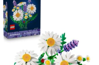 LEGO Botanicals Daisies 11508