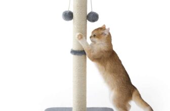 Lesure Cat Scratching Post Indoor – 36x36x74cm. Sold by Bedsure Comfy Pet / FBA