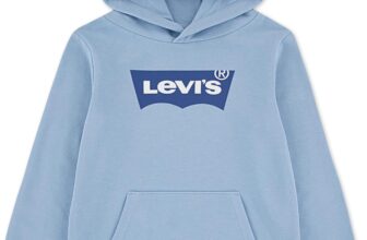 Levis Boys Ee910 Batwing Pullover Hoodie (pack of 1)