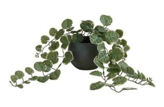 M&S Artificial Trailing Eucalyptus in Ceramic Pot, Grey