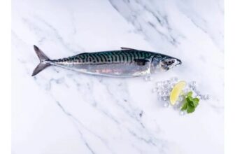 Mackerel 1kg Fish