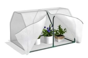 Mini Greenhouse