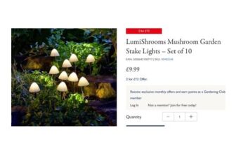 Mushroom Garden Stake Lights Set of 10 – £9.99 a Set or £12 for 2 Sets