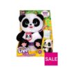 My Baby Panda – ChuChu