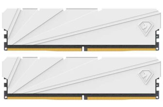 Netac DDR4 32GB RAM (2 X 16GB) 3200MHz – with heatsink – sold by Netac Official Store FBA