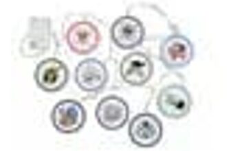 One Piece Fairy String Lights