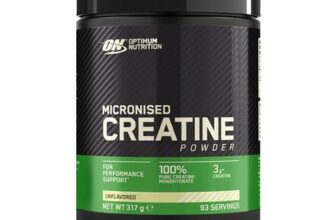 Optimum Nutrition Micronised Creatine Monohydrate 317g