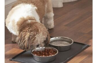 Penguin Home Stainless Steel Pet Bowls, 4-Pack, Non-Slip Silicone Mat