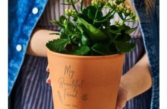 Personalised Friendship Flower Pot