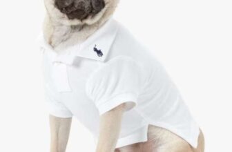 Polo Ralph Lauren Cotton Mesh Dog Polo Shirt, Blue Navy, White/Multi, Small