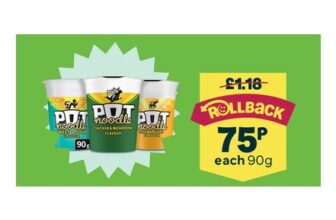 Pot Noodle , Choice of Flavours