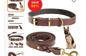 Premium Leather Dog Leash and Collar