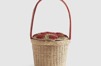 Red Strawberry Basket Bag – Free C&C
