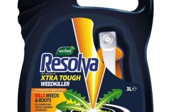 Resolva Pro Ready To Use Weed Killer, 3 Litre