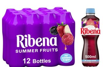 Ribena Summer Fruits Juice Drink No Added Sugar 500ml – Multipack of 12 – S&S £13.90