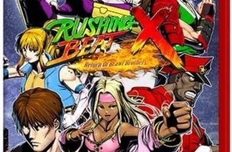 Rushing Beat X: Return of the Brawl Brothers NS2