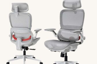 SIHOO B100 Ultra Ergonomic Office Chair