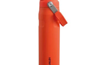 STANLEY 1913 IceFlow Fast Flow Sports Bottle 0.6L – Plum