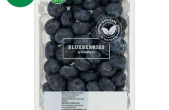Sainsburys Blueberries 300g – Nectar Price