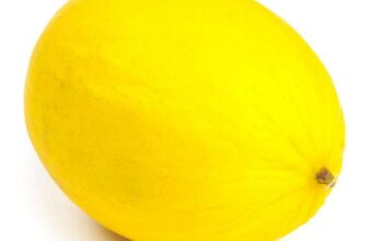 Sainsburys Honeydew Melon – nectar card