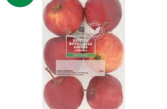 Sainsburys Royal Gala Apples x6 – Nectar Price