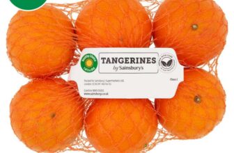 Sainsburys Tangerines 600g – nectar price