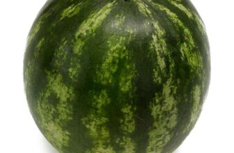 Sainsburys Watermelon – Nectar Price