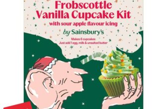 Sainsburys the BFG Frobscottle Vanilla Cupcake Kit Sour Apple Icing or Snozzcumber Shortbread 292g