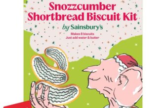 Sainsburys the BFG Snozzcumber Shortbread Biscuit Kit 279g