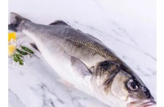 Sea Bass – Wild, Hook & Line Caught.