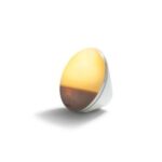 SmartSleep Wake-up Light: Sunrise Alarm Clock with 7 Sounds