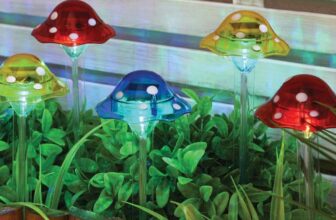 Solar Mushroom Stake Lights Pack of 10 – Free C&C
