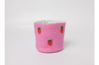 Strawberry Plant Pot / Storage Pot