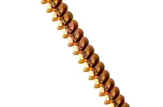 TIMCO Solo Chipboard & Woodscrews – Gold – 3.5 x 50 – Box of 200