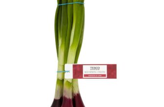 Tesco Red Spring Onions 120G – Clubcard Price