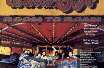 The Waterboys Room To Roam (Half Speed Master) LP