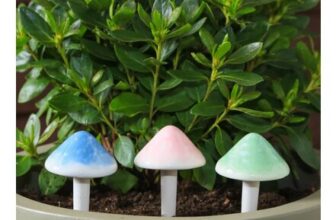 Toadstool Pot Stakes 3pk