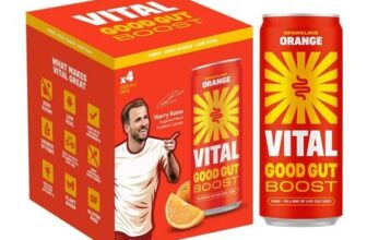 Vital Good Gut Boost Sparkling Orange 4x330ml (Nectar)
