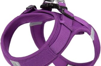 WINHYEPET Truelove Dog Harness Soft Mesh Reflective Breathable Step-In Dog Harness,Easy Adjustment Harness with Safety Buckle for Extra Small and Small Dogs, Vest Harness TLH3013(Purple,2XS)