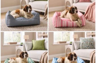 Water Resistant Box Pet Bed (5 Different Designs) Medium £8.75/ Large £11.25 (Links in Description Free Click & Collect