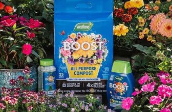 Westland Peat-free Boost Multi-purpose Compost 25L Free C&C